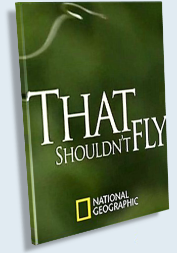   -   / That Shouldn't Fly