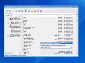 UFS Explorer Professional Recovery 3.19.1 32-bit/64-bit
