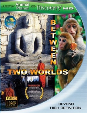  :    / Wild Asia: Between Two Worlds VO