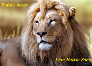   / National Geographic: Lion Battle Zone VO