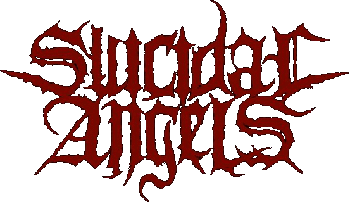 Suicidal Angels - Divide And Conquer 