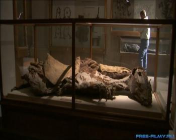 National Geographic:    / National Geographic: China's Mystery Mummies VO