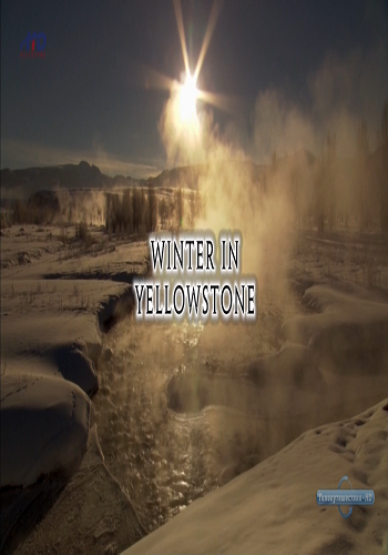    / Winter In Yellowstone VO