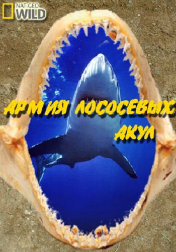    / Alaskan Killer Shark VO