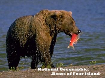 National Geographic.    / National Geographic. Bears of Fear Island DUB