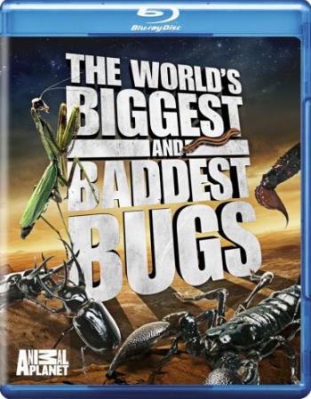        / World's Biggest and Baddest Bugs VO