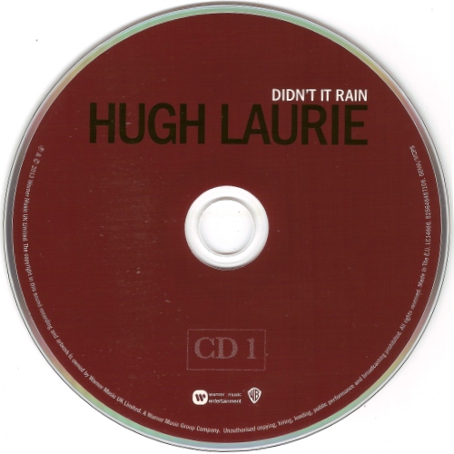Hugh Laurie - Didn't It Rain 