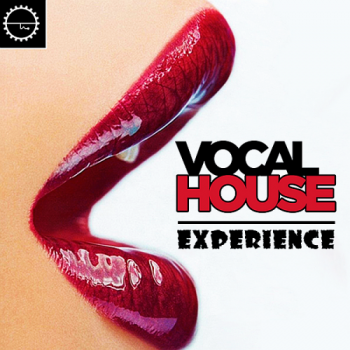 VA - Vocal House Experience Voyage