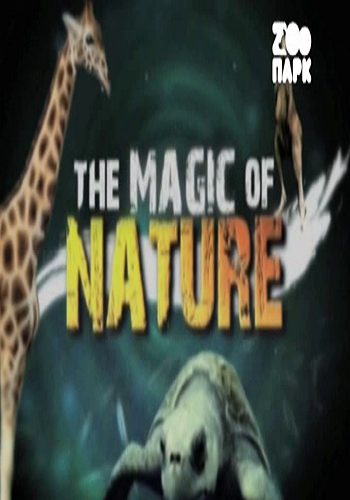   / The MAGIC of NATURE (1-1   16) VO