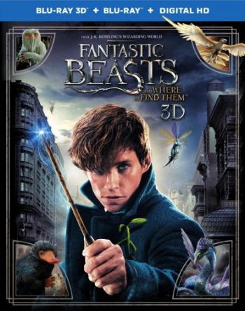       3D [ ] / Fantastic Beasts and Where to Find Them 3D [Half OverUnder] 2xDUB