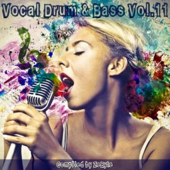 VA - Vocal Drum Bass Vol.11 [Compiled by Zebyte]