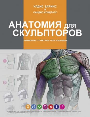 Анатомия для скульпторов. Понимание структуры тела человека