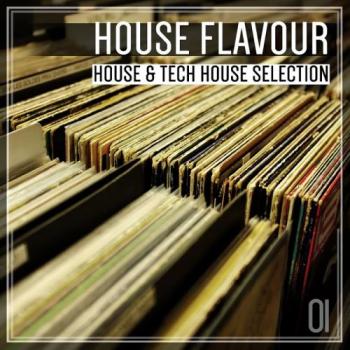 VA - House Flavour 01