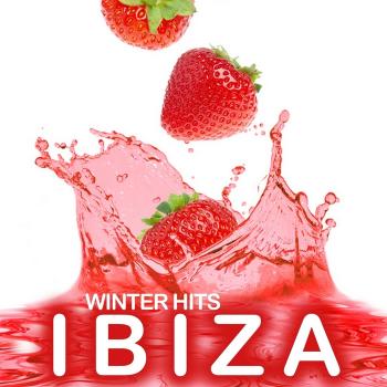 VA-Ibiza Winter Hits 2010