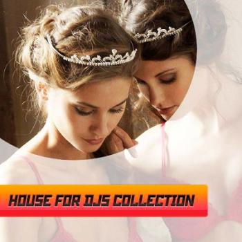 VA - House For Djs Collection Vol.2