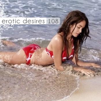 VA - Erotic Desires Volume 108