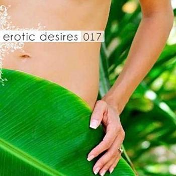 VA - Erotic Desires Volume 017