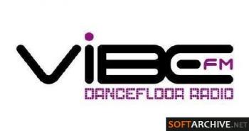 VA - Top 100 Vibe FM (2010)