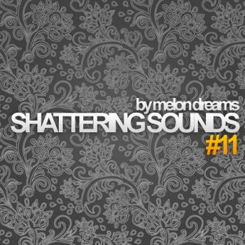 VA - Shattering Sounds #11