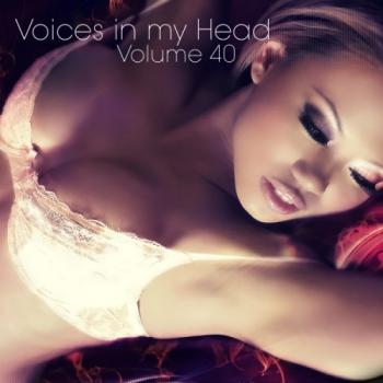 VA - Voices in my Head Volume 40