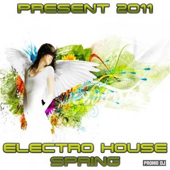 VA - Electro House Spring 2011 (Part 19)