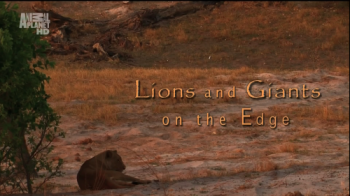 Animal Planet.    / Animal Planet. Lions and Giants on the Edge DUB