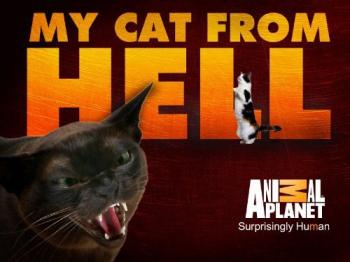   (5 : 1-17   17) / My Cat From Hell DVO