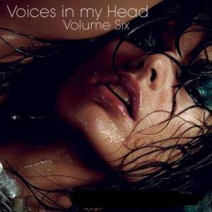 VA - Voices in my Head Volume 6