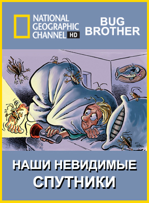 National Geographic:    / Bug Brother