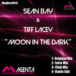 Sean Bay feat. Tiff Lacey - Moon In The Dark