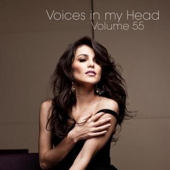 VA - Voices in my Head Volume 55