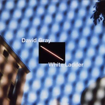David Gray - White Ledder