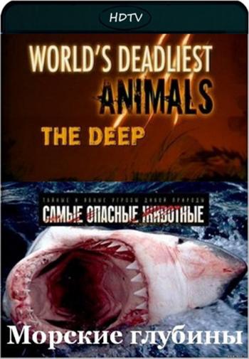    :  / World's deadliest animals. The deep