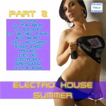 VA - Electro House Summer 2010 (Part 17)