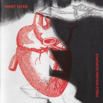 Ninet Tayeb - Sympathetic Nervous System