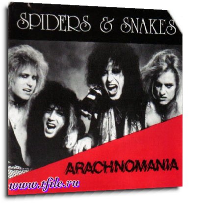 Spiders Snakes -  