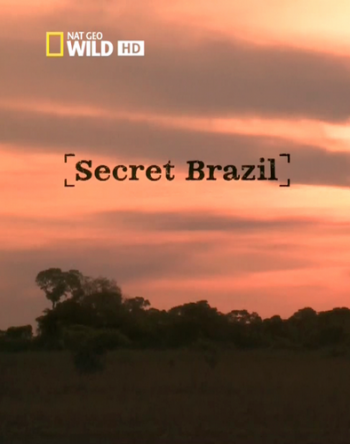   (1-3   3) / National Geographic. Secret Brazil DUB