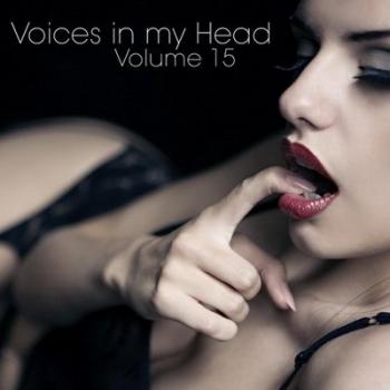 VA - Voices in my Head Volume 15