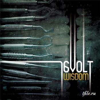 16 Volt - Wisdom (Re-Release, 1993)