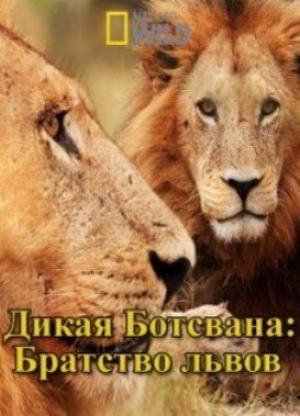  :   / NAT GEO WILD. Wild Botswana: Lion Brotherhood DUB