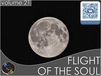 VA - Flight Of The Soul vol.21