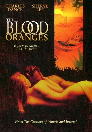   / The Blood Oranges AVO