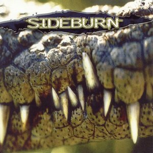 Sideburn