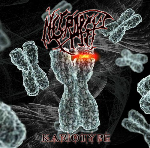 Necropsy - Discography 