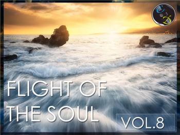 VA - Flight Of The Soul vol.8
