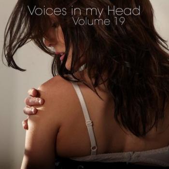 VA - Voices in my Head Volume 19