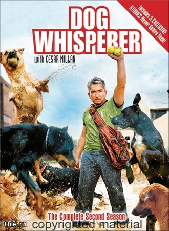      .  4 ( 65 - 101) / Dog Whisperer with Cesar Millan VO