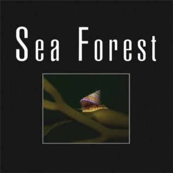   / Sea Forest