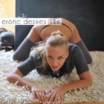 VA - Erotic Desires Volume 116