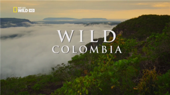   (1-3   3) / NAT GEO WILD. Wild Colombia DUB